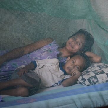 Timor-Leste declared malaria-free: ARAM’s role in a historic health victory